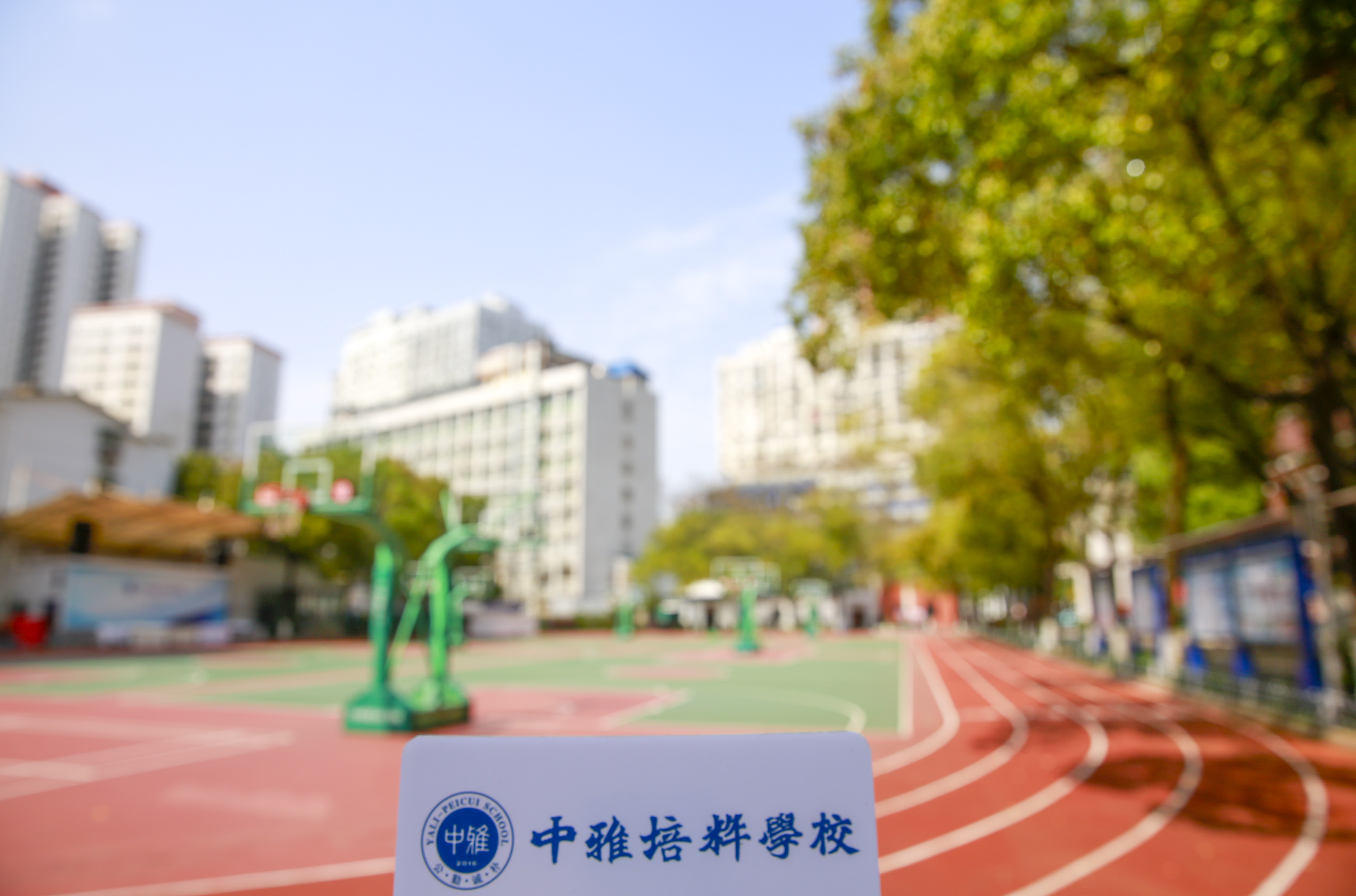  长沙市中雅培粹学校招标代理机构定点服务比选项目公告